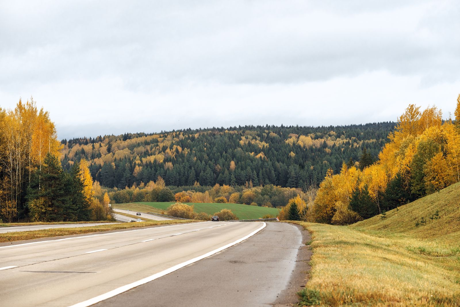 Route de campagne traversant une forêt d'automne