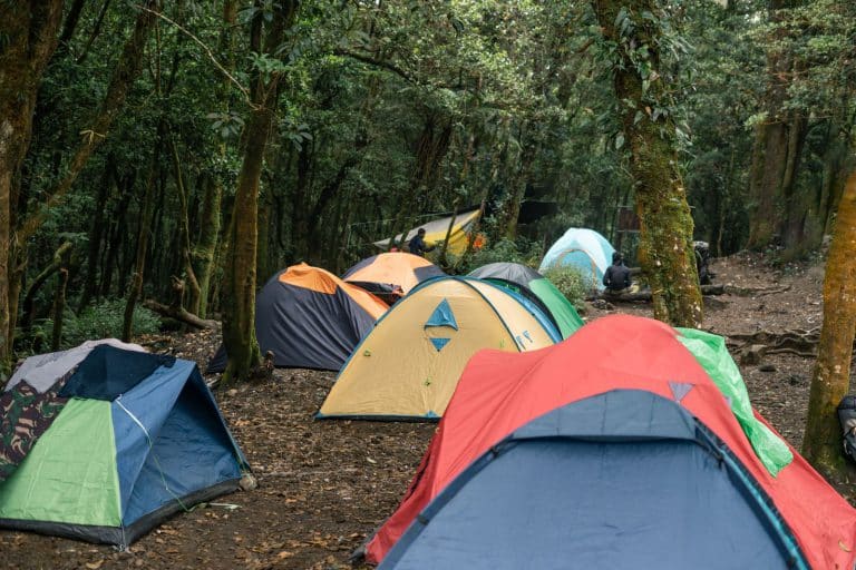 Camping éco-responsable : la nouvelle vague du slow camping