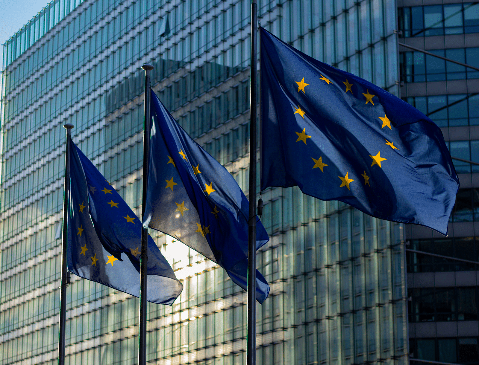 Drapeaux de l'Union européenne devant un bâtiment institutionnel